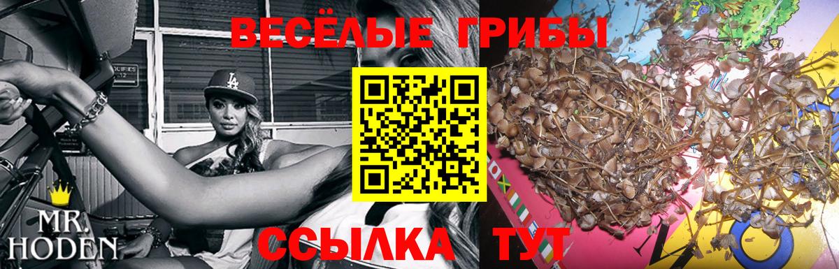 Нефтеюганск  цены   Вход с VPN  Галлюциногенные грибы ЛСД  Псилоцибиновые грибы мухоморы 