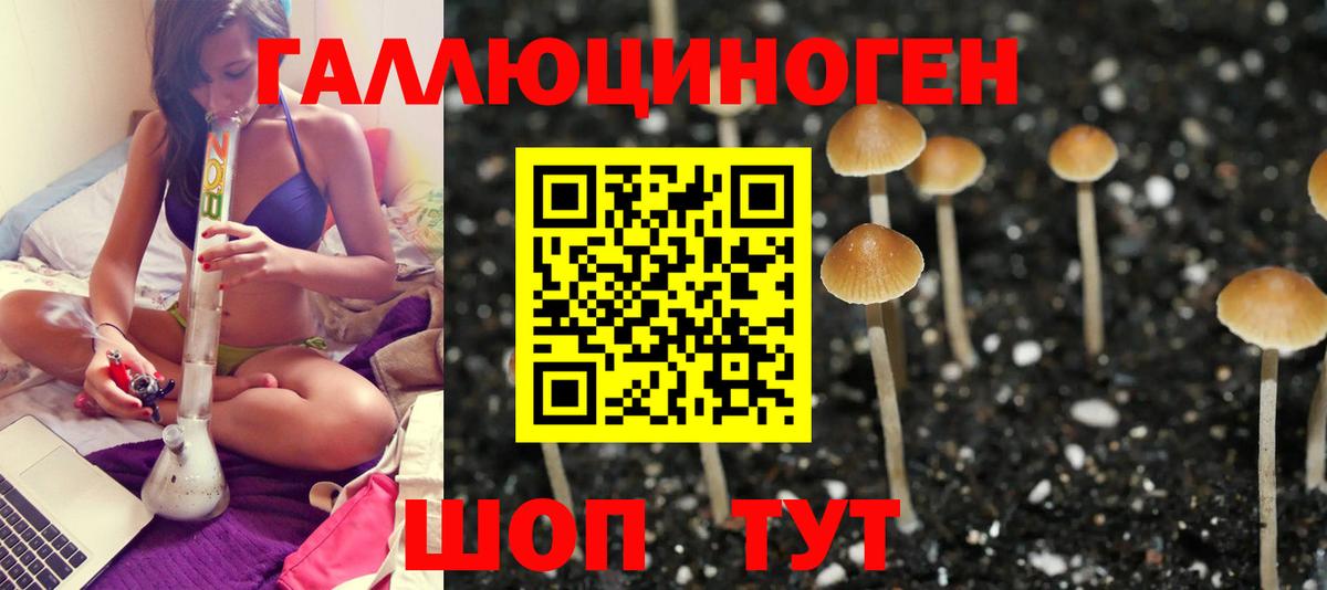 Псилоцибиновые грибы Psilocybe Нефтеюганск